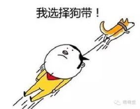 家里有小飞虫和蚊子怎么消灭,对付家里的小飞虫