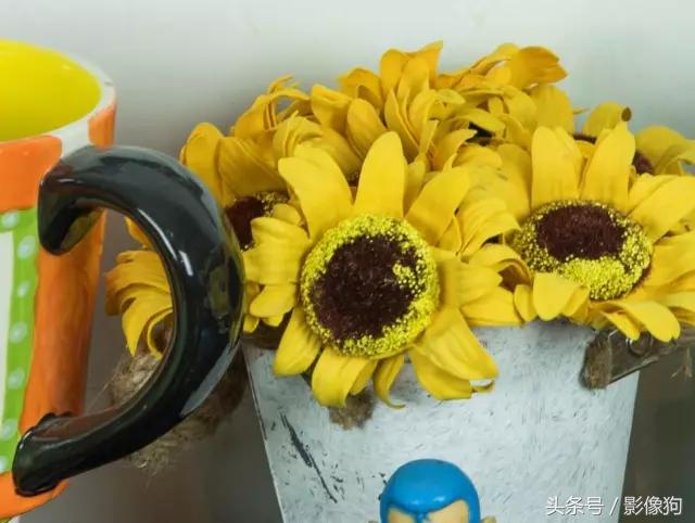 尼康z30腾龙适马70-200哪个好,腾龙适马2870镜头测评