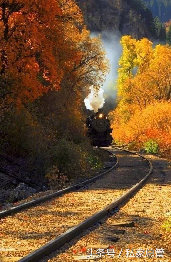 鐖辨槸渚濊禆涓庤渚濊禆,鐖辨槸渚濊禆鍗村張涓嶆槸渚濊禆