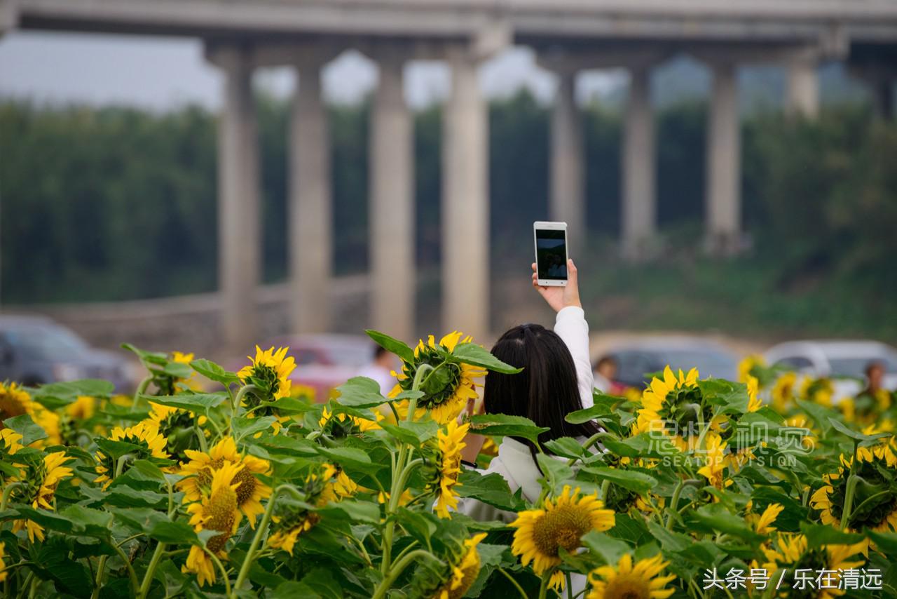 聚美金沙滩团购,聚美金沙滩门票收费吗