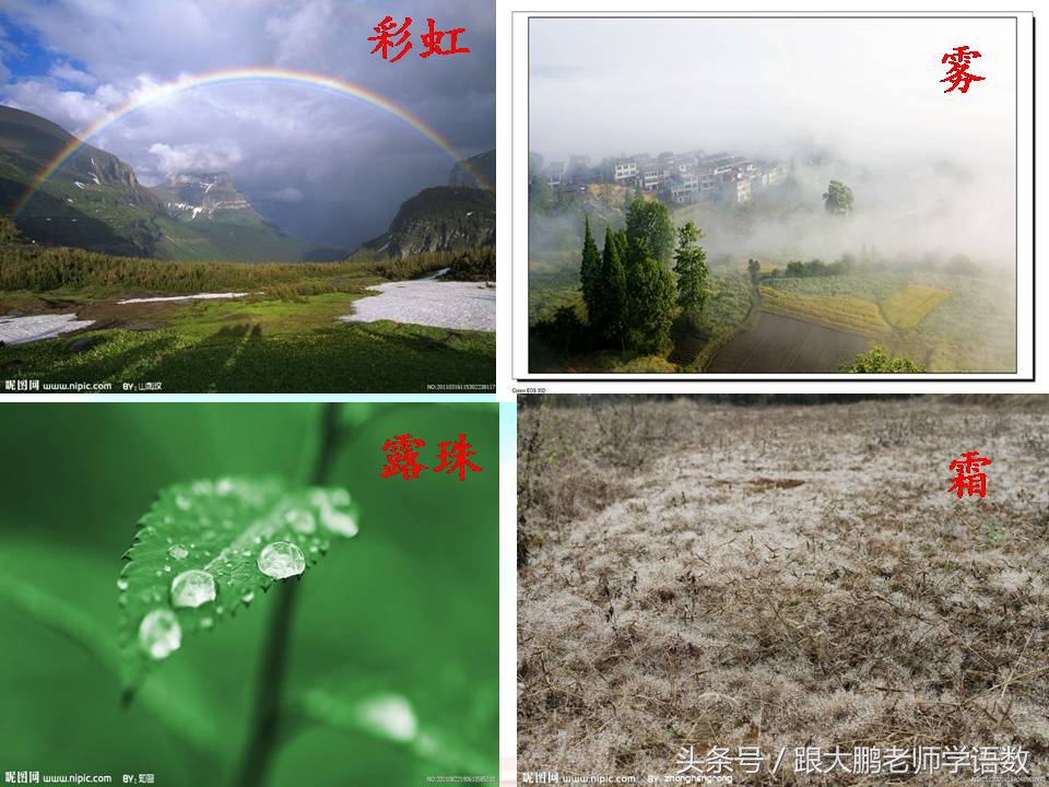 部编版二年级语文下册第一课课文,部编版二年级语文上册第二课视频