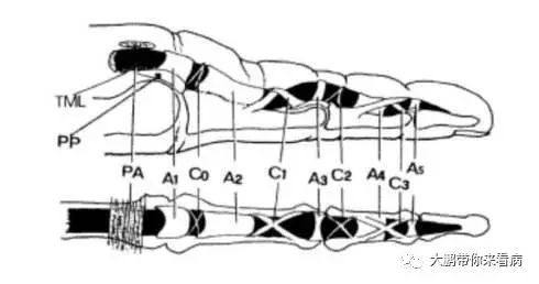 没有扣过扳机的你却得了“扳机指”？