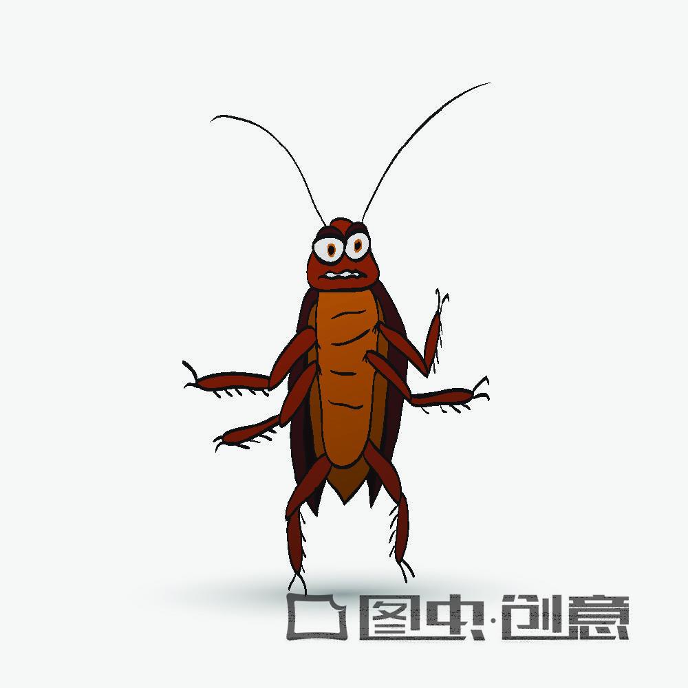 家里有小朋友蟑螂怎么消灭最彻底,教你实用驱赶蟑螂的方法无毒无害