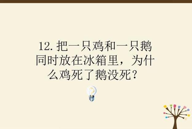 兔子是正经兔子，老爷爷比较意外