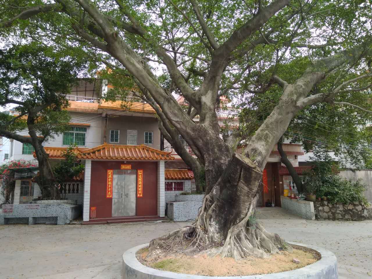 沙田村旅游攻略,广东东莞乡村休闲体验季