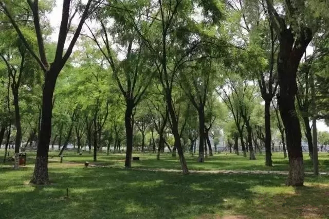 去郑州哪里旅游最便宜又好玩,郑州值得旅游的地方有哪些