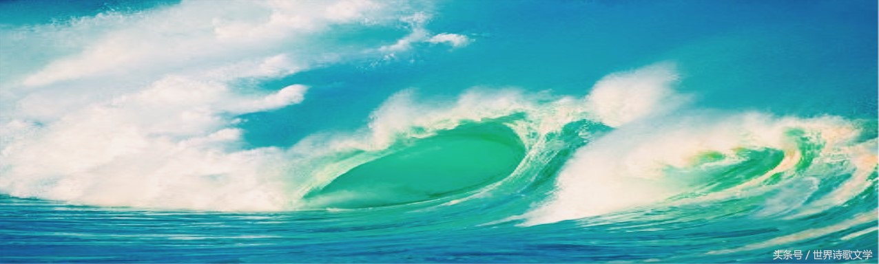 「世界诗歌文学」浪头一直举起没有倒下，很多事物一哄而散