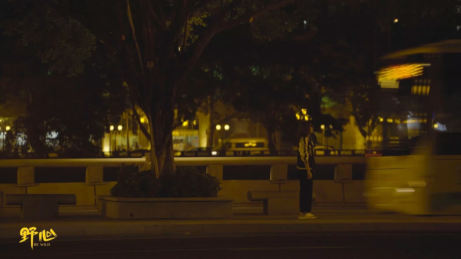 跨性别女士纪录片,跨性别纪录片男变女