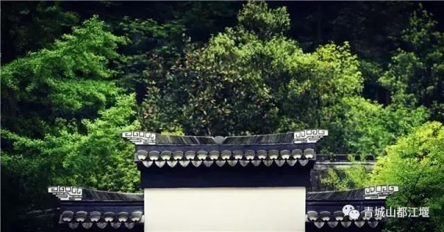 四川旅游一条很直的公路,四川唯一一条有路灯的高速公路