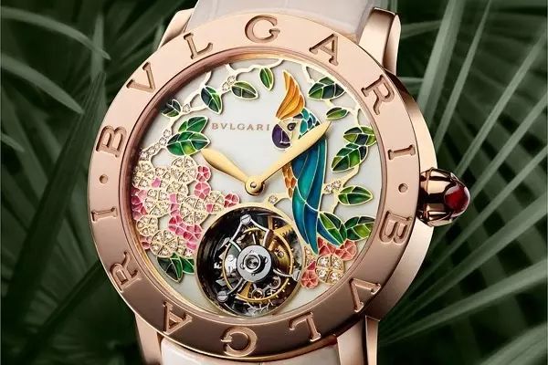 腕上鸟类图鉴｜谁是颜值之巅？