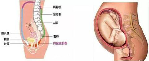 产后康复避雷点,产后修复红光理疗仪器