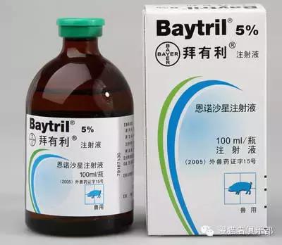 猫咪药品推荐,猫咪平替药品