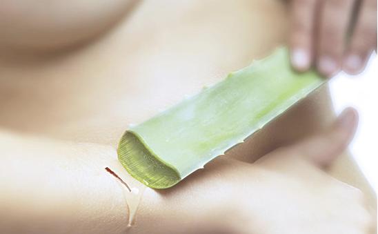 市面上芦荟胶没有效果?不如用生芦荟来敷脸,5个方法来自制面膜