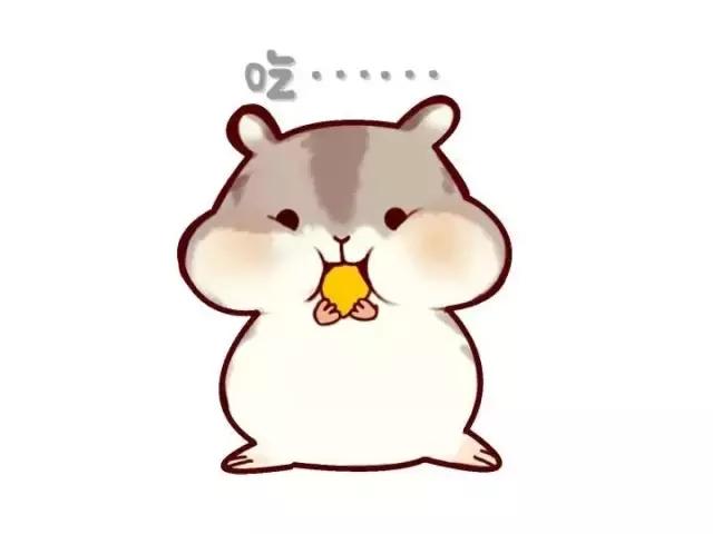 一次意外动物和人类互换了灵魂,为什么荷兰猪会突然变得很烦躁