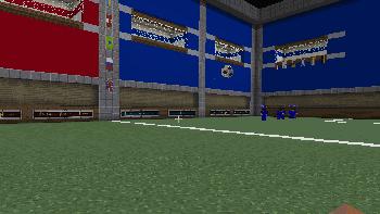 我们的世界足球教学,世界上最奇葩的足球比赛