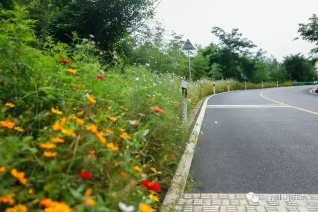 四川旅游一条很直的公路,四川唯一一条有路灯的高速公路