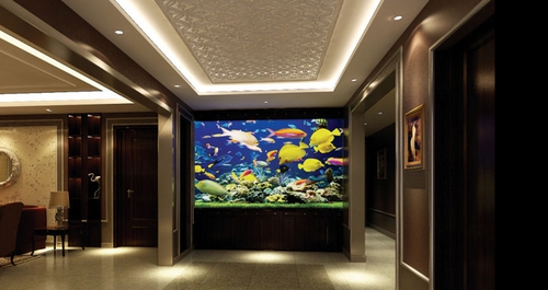 选鱼技巧银龙,四招教你选环保好板材