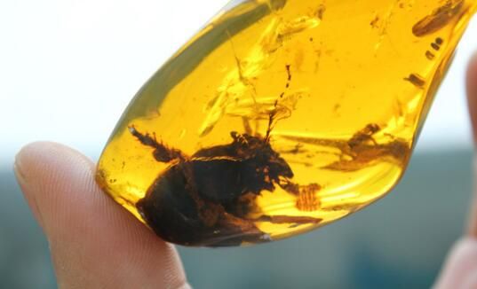 大咖云集博览会,大咖云集的峰会