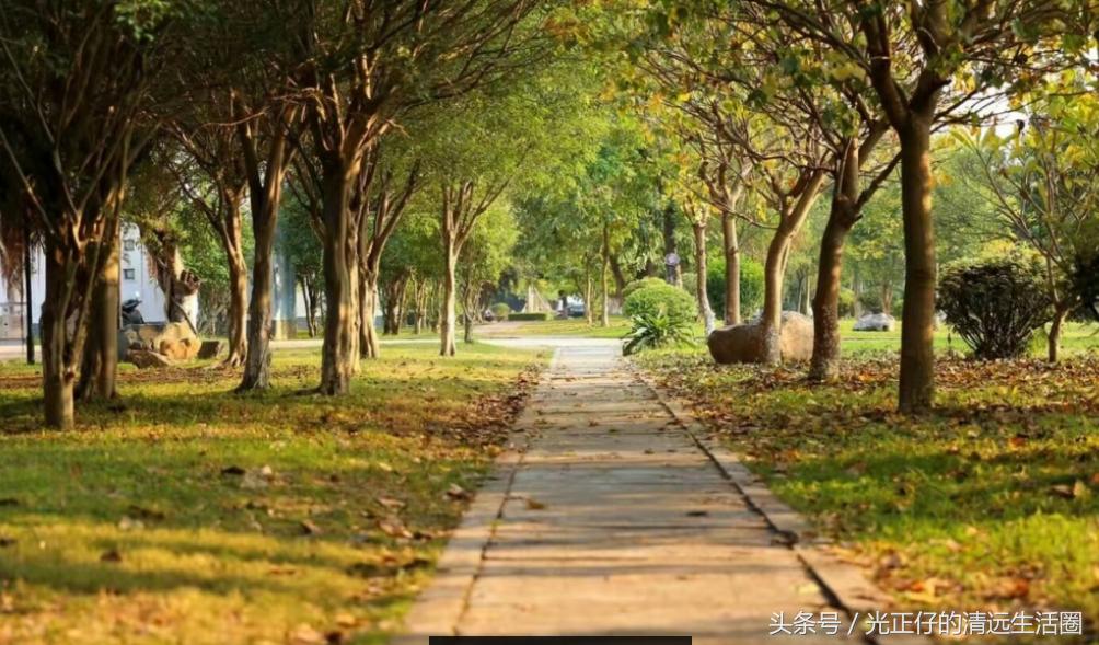 清远华侨中学招生联系方式,清远二中和华侨中学哪个好