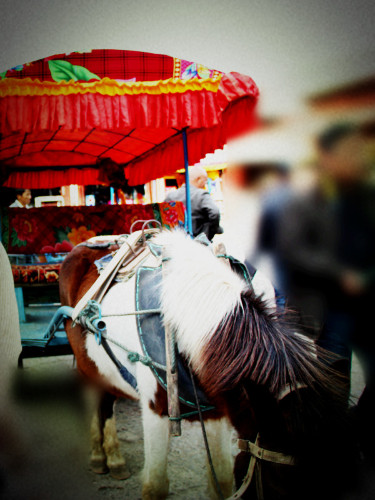 云南丽江香格里拉大理六日游,云南丽江大理香格里拉六日游