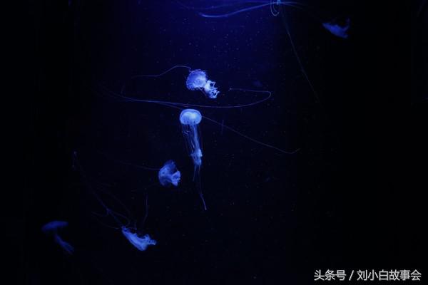 冲绳旅拍攻略,冲绳旅行攻略图