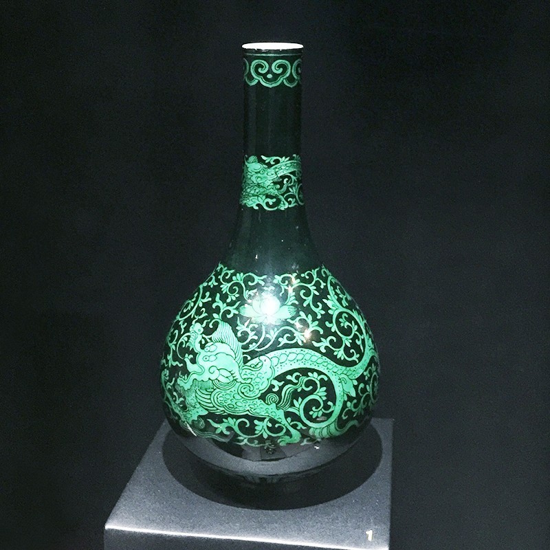 长知识升逼格｜来看看大蜥蜴国有多了不起