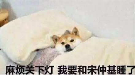 梦多睡不着觉需要吃什么药,梦多就是睡眠不好吗