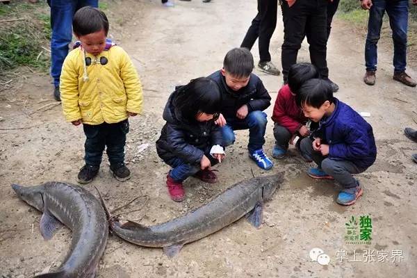 钓了8小时鱼塘老板哭了,黑坑老板被钓鱼人打崩溃