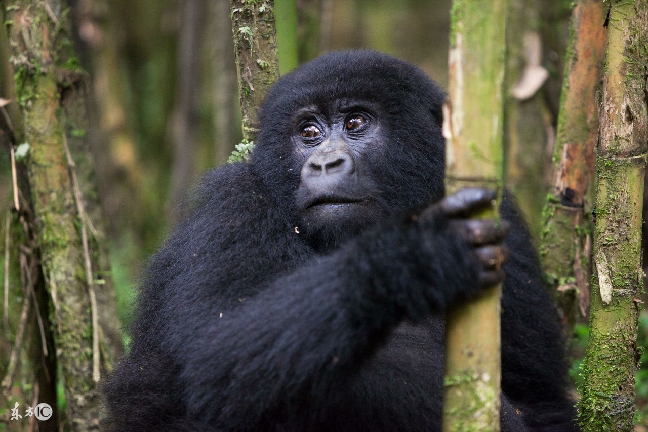 搞笑热门超级爆笑,特搞笑的搞笑视频