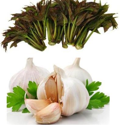 长在树上的蔬菜大全,有没有长在树上的蔬菜