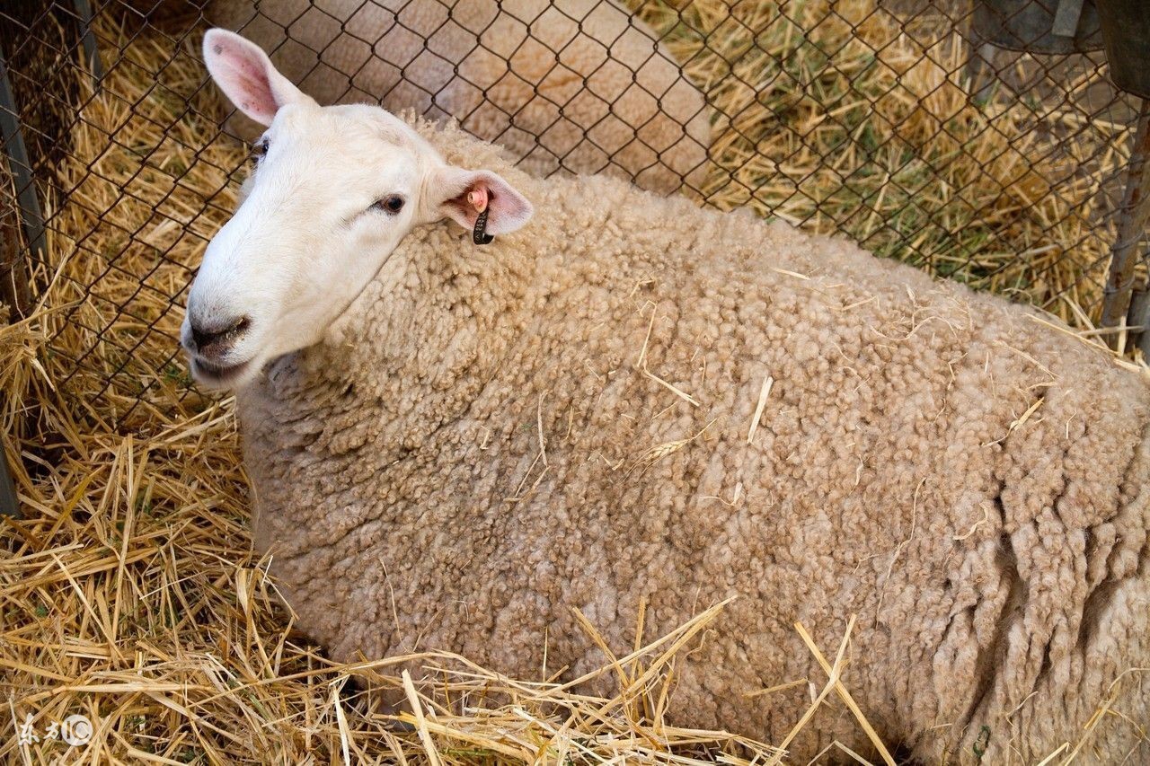 哪个信用卡羊毛多,信用卡羊毛排名