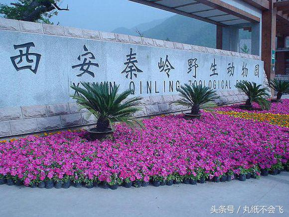 西安必去景点夏季美食攻略,西安有哪些免费的旅游景区推荐