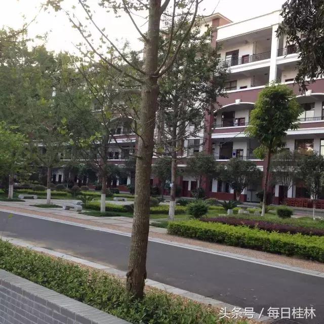 我是桂林九中人！