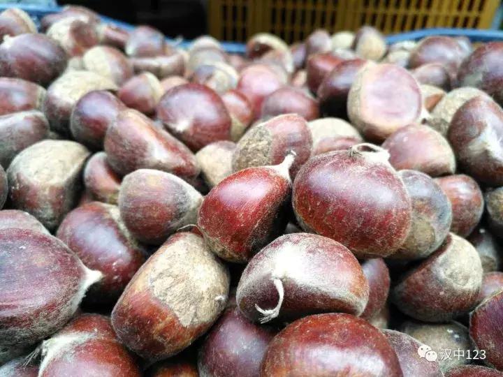 汉中光雾山最详细地点,光雾山旅游景区感受大自然