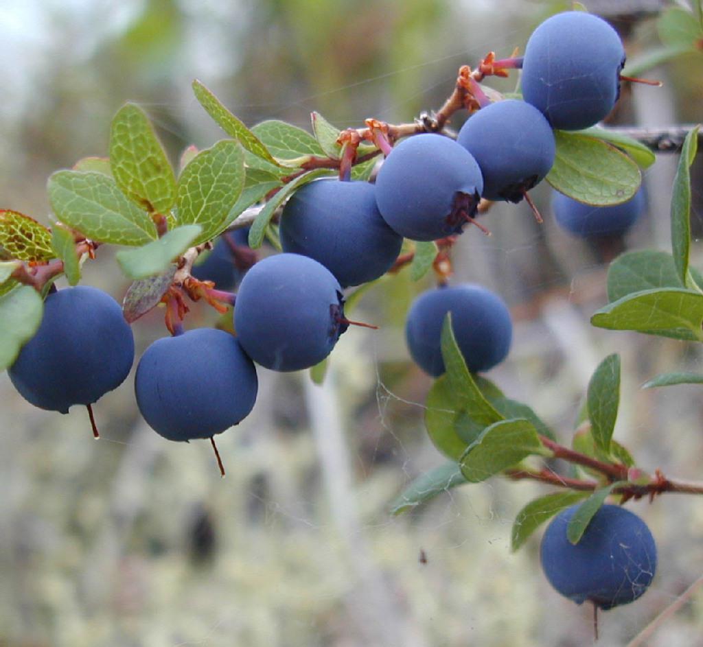 如何预防与治疗近视眼,近视眼预防保健方法有哪些呢