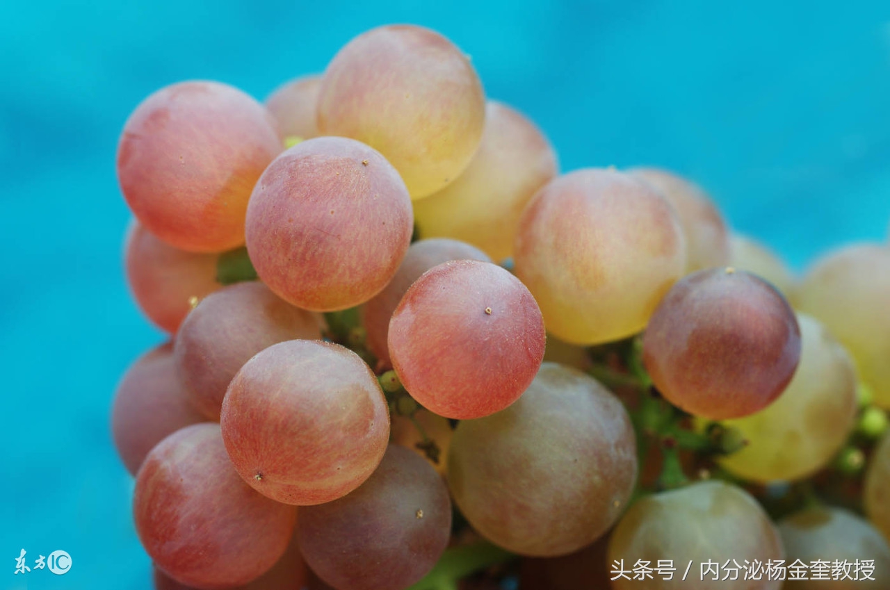 “血糖”，意思是“血葡萄糖”，血糖范围普通人和糖尿病人不一样