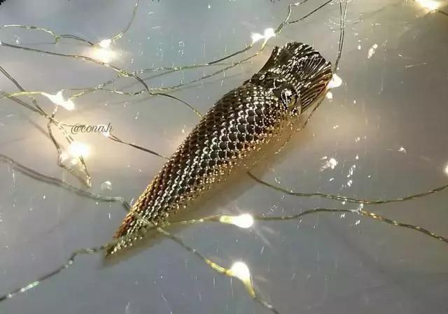 colorkey口红绝版,原色波塔口红绝版