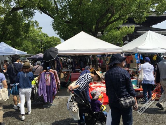 碉堡｜日本关西深度游最详细攻略！体验全日本最美的小渔村，吃嗨