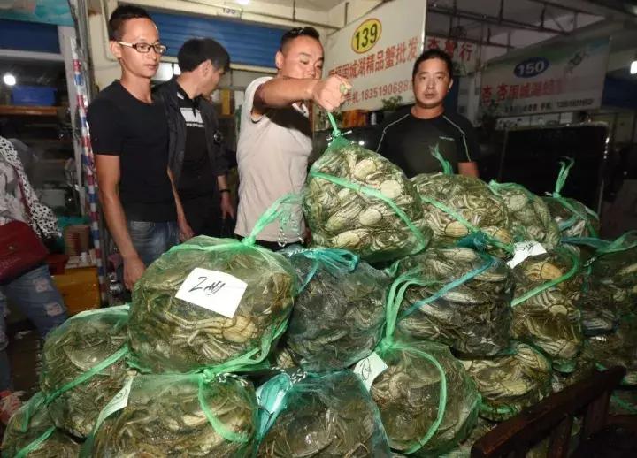 固城湖螃蟹和阳澄湖螃蟹哪个好,固城湖螃蟹十大排名