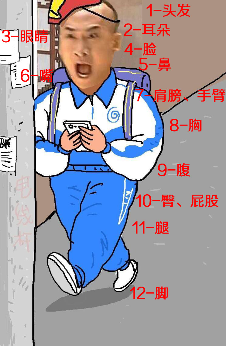 脑力哥教你倒背如流十二星座、十二生肖啦,果断收藏!