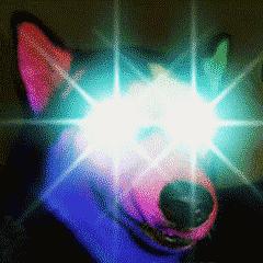 用恋爱的方式谈生意,用谈恋爱的心态去搞事业