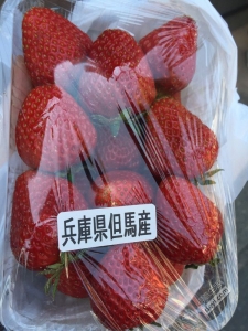 日本小众深度游玩攻略,日本关西打卡攻略