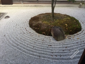 日本小众深度游玩攻略,日本关西打卡攻略