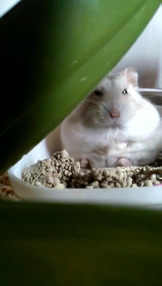 经常更新的恐怖故事,每周三更新的恐怖故事