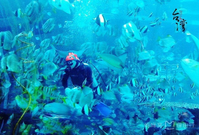 垦丁包车一日游价格,垦丁两日游价格