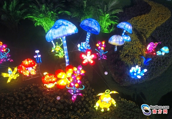 广州森林旅行,广州森林之旅