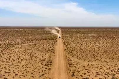 硬汉集结营救动物,硬汉军团