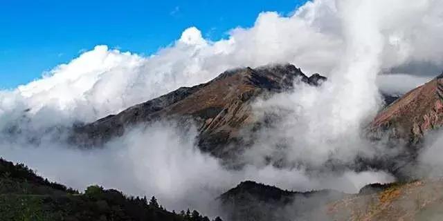 十一去哪玩划算 (十一最适合去哪里玩)