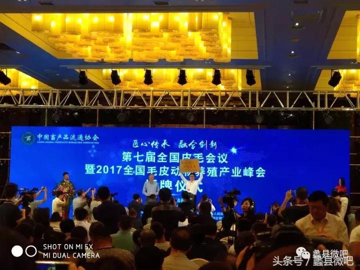 蠡县奖状一等奖,蠡县中国皮都