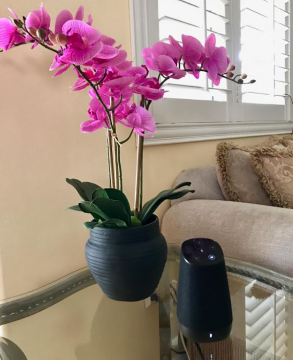 这是一款视觉和听感兼美的蓝牙音箱——咔哟DIDA